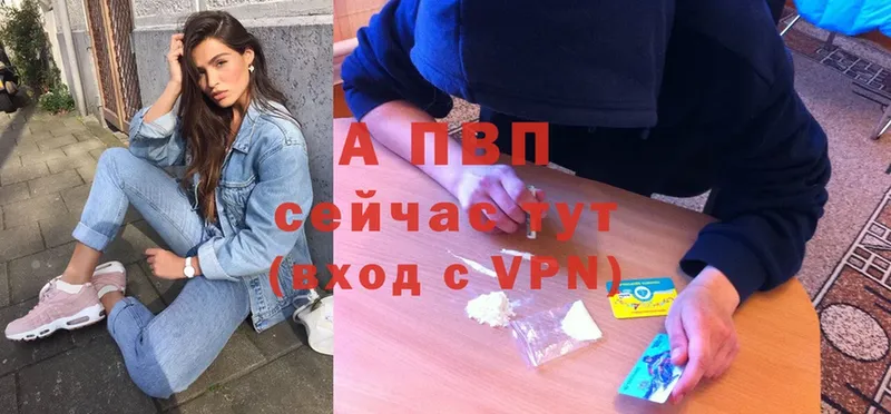 APVP VHQ  Майкоп 